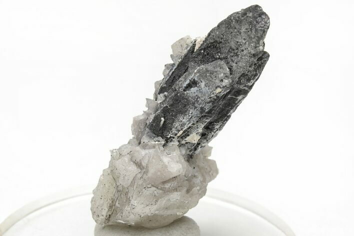 Metallic Wodginite Crystals - Brazil #214516